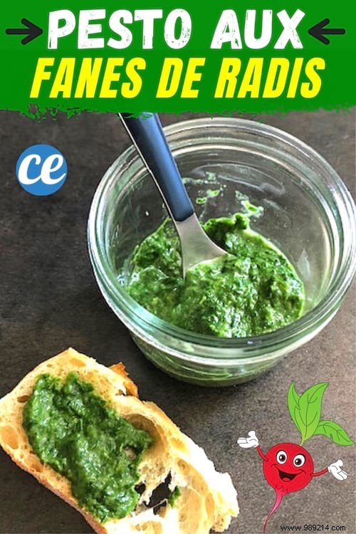 Easy Radish Top Pesto Recipe: Zero-Waste Homemade Delight in 5 Minutes