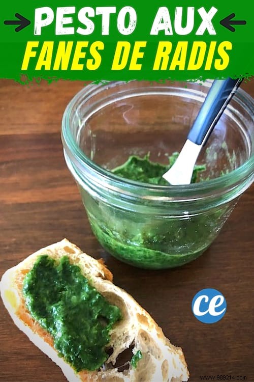 Easy Radish Top Pesto Recipe: Zero-Waste Homemade Delight in 5 Minutes