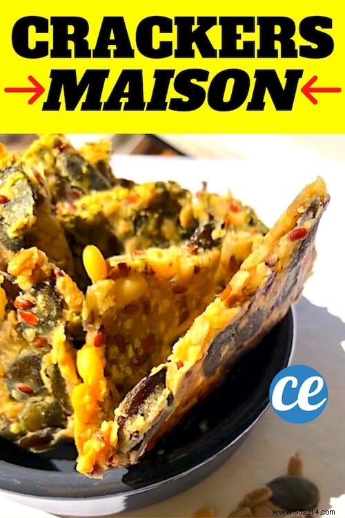 My Easy 5-Minute Homemade Seed Crackers Recipe – Crispy, Healthy & Irresistible