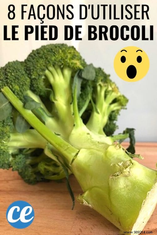 8 Creative Ways to Cook Broccoli Stems: Reduce Waste with Delicious Recipes