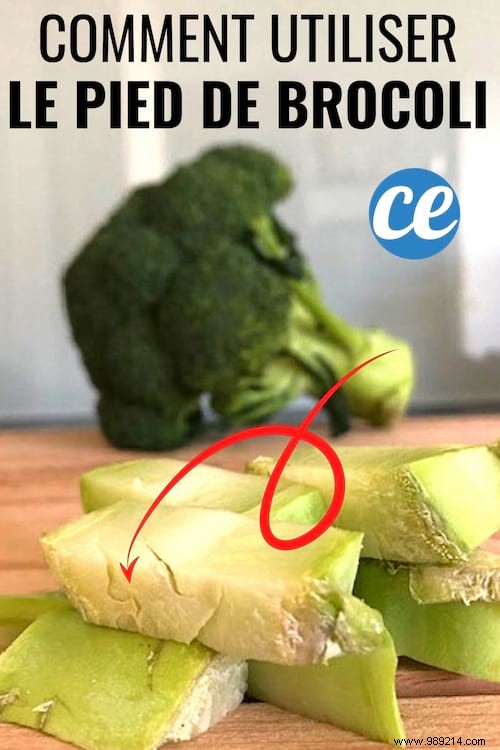 8 Creative Ways to Cook Broccoli Stems: Reduce Waste with Delicious Recipes