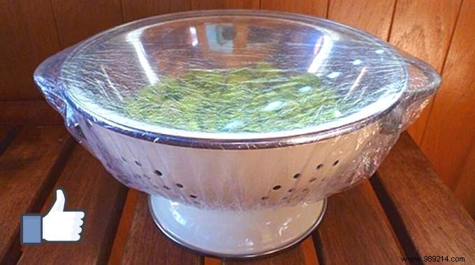 Keep Your Salad Fresh for a Week: The Reusable Shower Cap Method