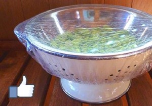 Keep Your Salad Fresh for a Week: The Reusable Shower Cap Method