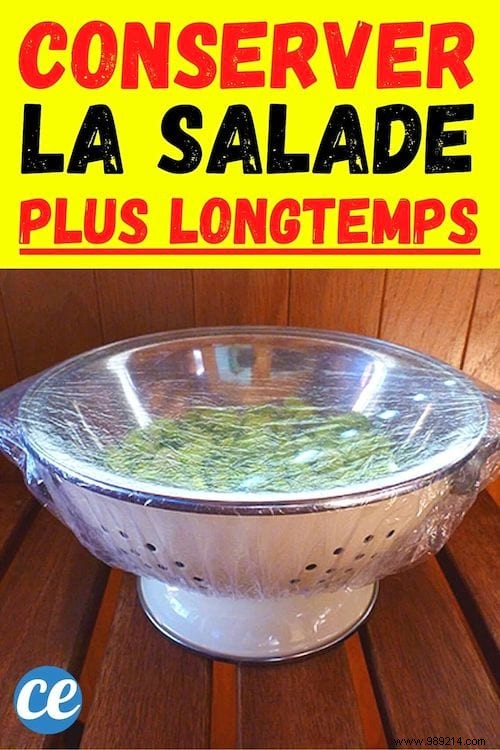 Keep Your Salad Fresh for a Week: The Reusable Shower Cap Method