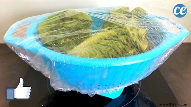 Keep Your Salad Fresh for a Week: The Reusable Shower Cap Method