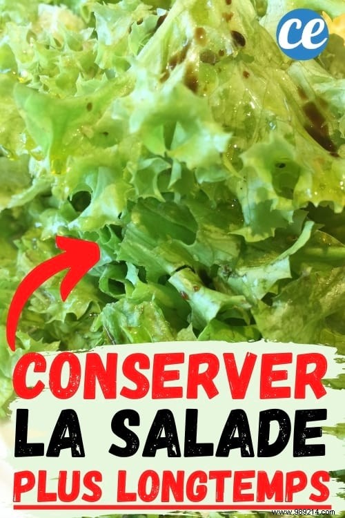 Keep Your Salad Fresh for a Week: The Reusable Shower Cap Method