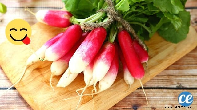 Revive Limp Radishes: The Simple White Vinegar Trick for Instant Crunch
