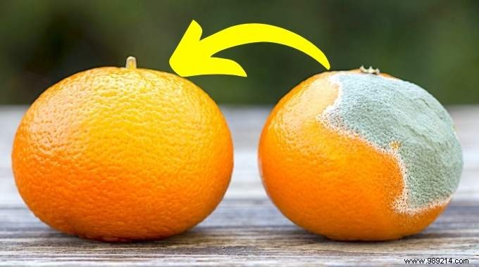 Proven Tip: Keep Fruits and Vegetables Fresh 3 Times Longer