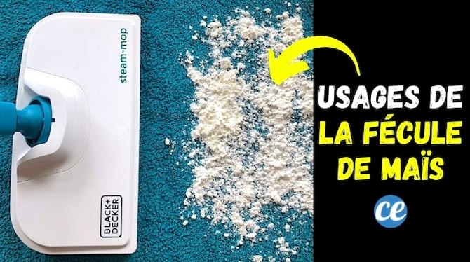 17 Proven Uses for Cornstarch Around the Home: Cleaning, Beauty, and Beyond