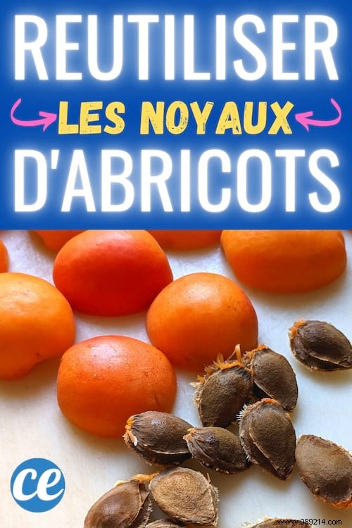 5 Proven Ways to Repurpose Apricot Pits: Never Toss Them Again