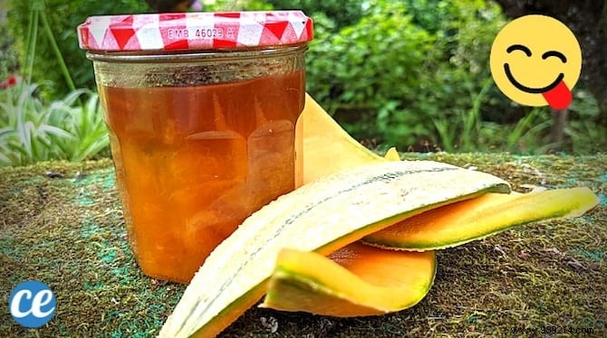 Zero-Waste Melon Peel Jam: Easy Recipe to Transform Rinds into Delicious Spread