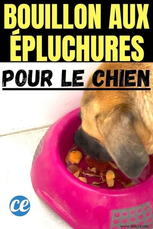 Homemade Dog Broth: Simple Zero-Waste Recipe My Dog Can t Resist