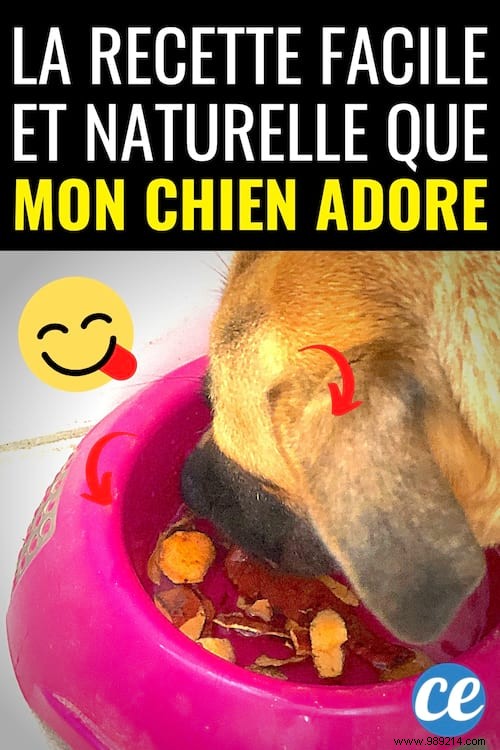 Homemade Dog Broth: Simple Zero-Waste Recipe My Dog Can t Resist