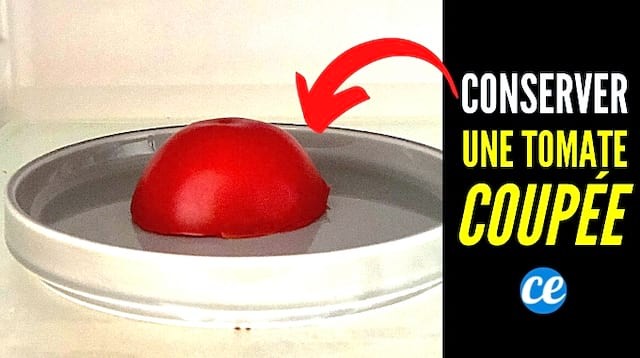 How to Store a Cut Tomato: My Grandmother s Proven Anti-Waste Trick