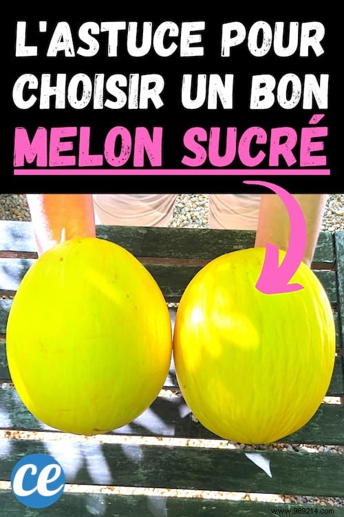 How to Pick the Perfect Sweet Canary Melon Every Time: 4 Expert Tips