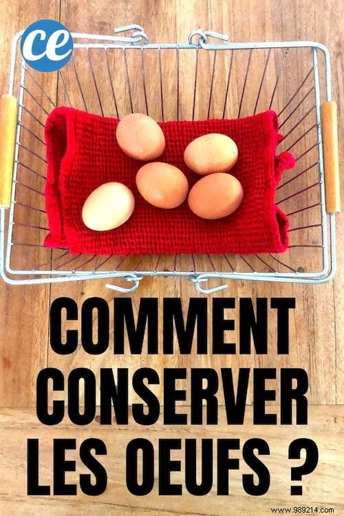 Should You Refrigerate Eggs? Science-Backed Storage Tips from Experts