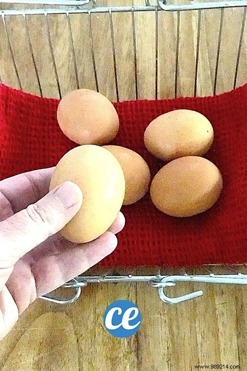 Should You Refrigerate Eggs? Science-Backed Storage Tips from Experts