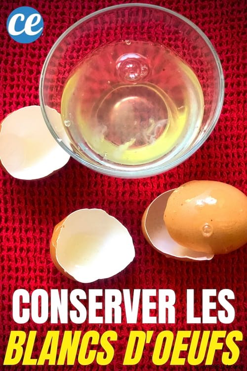 How to Store Egg Whites: Expert Anti-Waste Tips for Fridge and Freezer