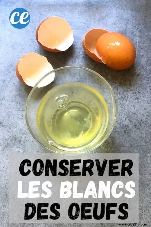 How to Store Egg Whites: Expert Anti-Waste Tips for Fridge and Freezer