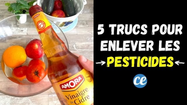5 Proven Methods to Remove Up to 70% of Pesticides from Fruits and Vegetables
