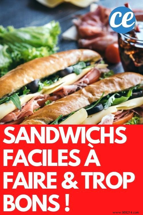 10 Irresistible Easy Sandwich Recipes: Quick, Delicious & Perfect for Picnics or Lunch