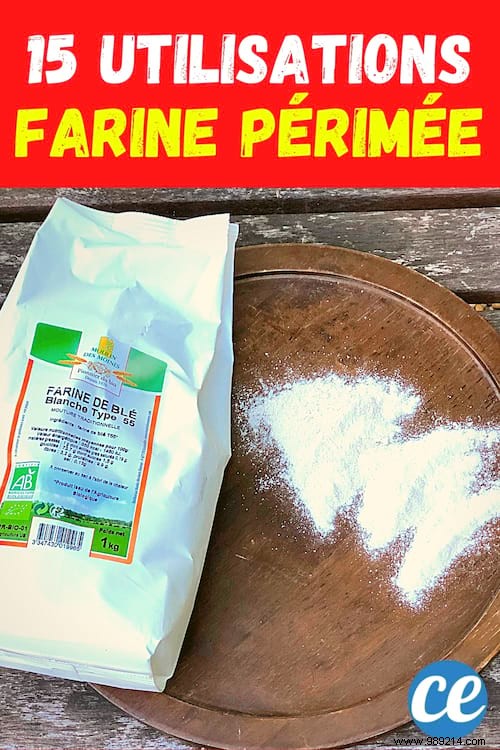 15 Smart Ways to Repurpose Expired Flour: Cleaning, Crafts & More