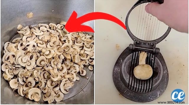 Slice Mushrooms in Seconds: The Egg Slicer Kitchen Hack