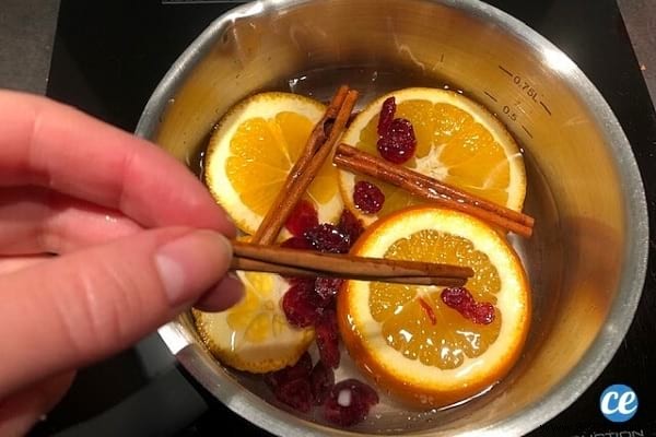 Easy Christmas Potpourri Recipe: Scent Your Home Naturally in Just 2 Minutes