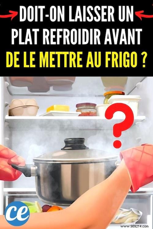 Should You Cool Hot Leftovers Before Putting Them in the Fridge? Expert Advice