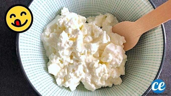 Easy Homemade Fresh Cheese Recipe: Just 2 Ingredients from Raw Milk