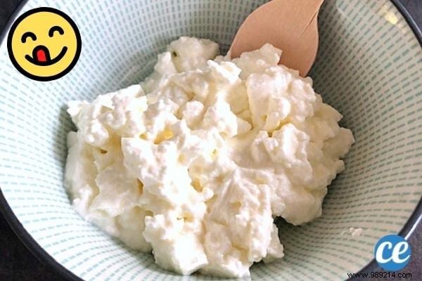 Easy Homemade Fresh Cheese Recipe: Just 2 Ingredients from Raw Milk