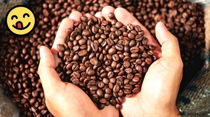 Expert Guide: How to Store Coffee Beans to Preserve Freshness and Aroma