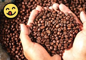 Expert Guide: How to Store Coffee Beans to Preserve Freshness and Aroma