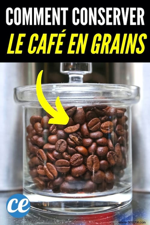 Expert Guide: How to Store Coffee Beans to Preserve Freshness and Aroma