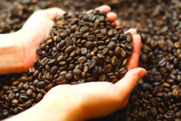 Expert Guide: How to Store Coffee Beans to Preserve Freshness and Aroma