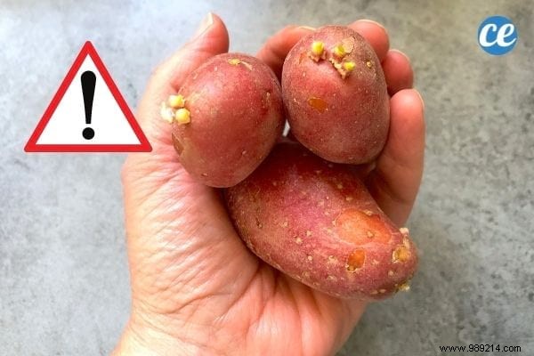 10 Common Mistakes to Avoid When Boiling Potatoes for Perfect Results Every Time