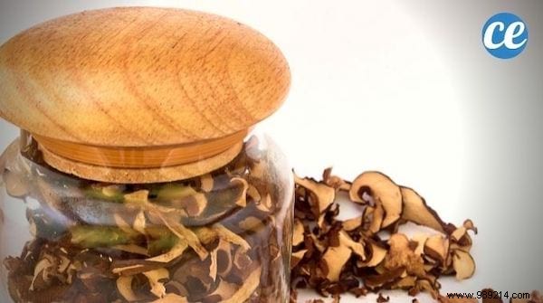 6 Proven Tips to Store Mushrooms Longer and Cut Down on Waste