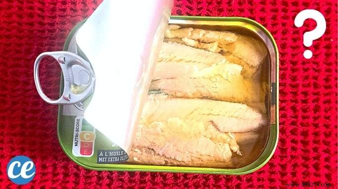 5 Smart Ways to Repurpose Canned Sardine Oil and Reduce Waste
