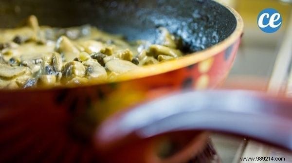 6 Proven Tips to Store Mushrooms Longer and Cut Down on Waste