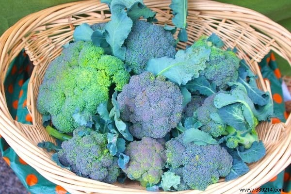 5 Foolproof Ways to Cook Broccoli Perfectly Every Time