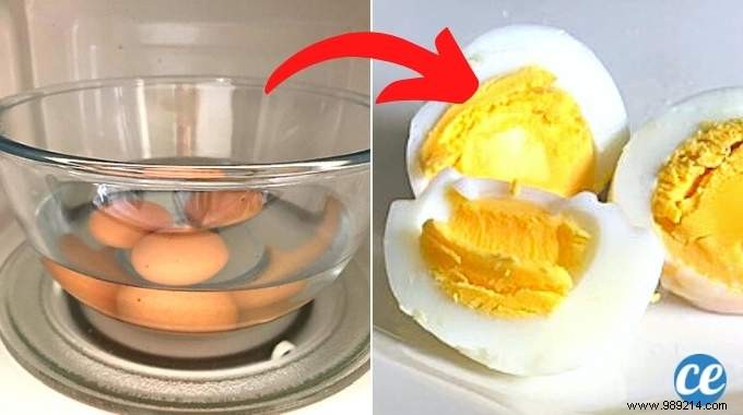 Perfect Hard-Boiled Eggs in the Microwave: Safe 4-Minute Method