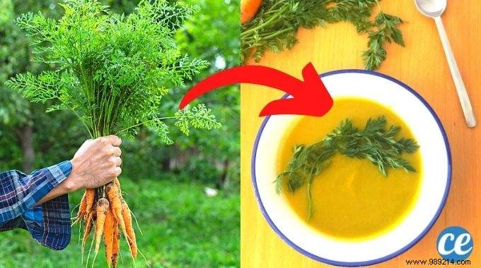8 Smart Ways to Use Carrot Tops: Recipes and Tips to Cut Waste