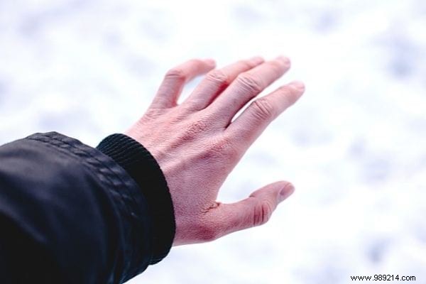 8 Smart Ways to Use Carrot Tops: Recipes and Tips to Cut Waste