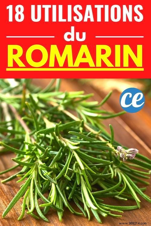 18 Proven Rosemary Uses: Kitchen Hacks, Health Remedies, Beauty Boosts, and Home Tips