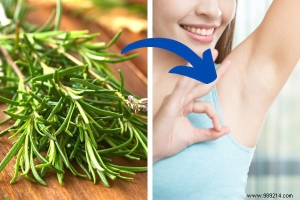 18 Proven Rosemary Uses: Kitchen Hacks, Health Remedies, Beauty Boosts, and Home Tips