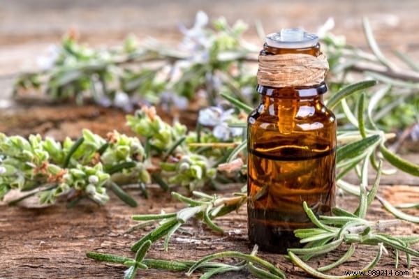 18 Proven Rosemary Uses: Kitchen Hacks, Health Remedies, Beauty Boosts, and Home Tips