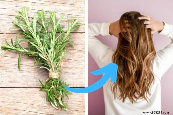 18 Proven Rosemary Uses: Kitchen Hacks, Health Remedies, Beauty Boosts, and Home Tips