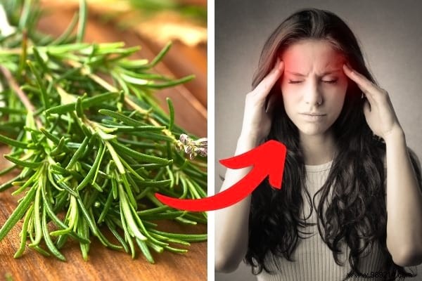 18 Proven Rosemary Uses: Kitchen Hacks, Health Remedies, Beauty Boosts, and Home Tips