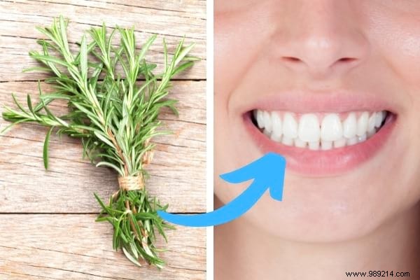 18 Proven Rosemary Uses: Kitchen Hacks, Health Remedies, Beauty Boosts, and Home Tips