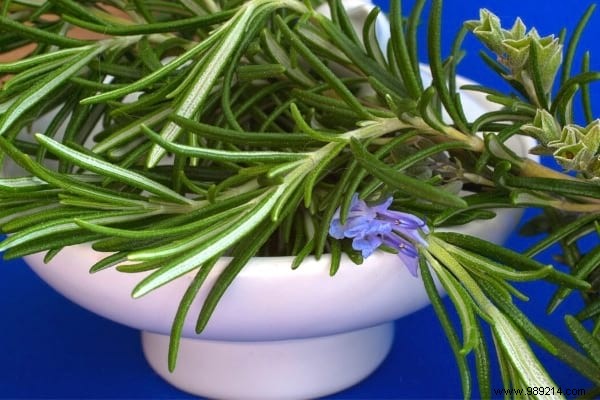 18 Proven Rosemary Uses: Kitchen Hacks, Health Remedies, Beauty Boosts, and Home Tips